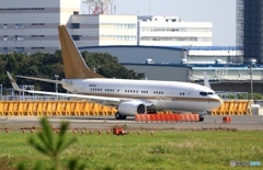 ✈南山公務/Nanshan B737-7ZH  N930HB☮