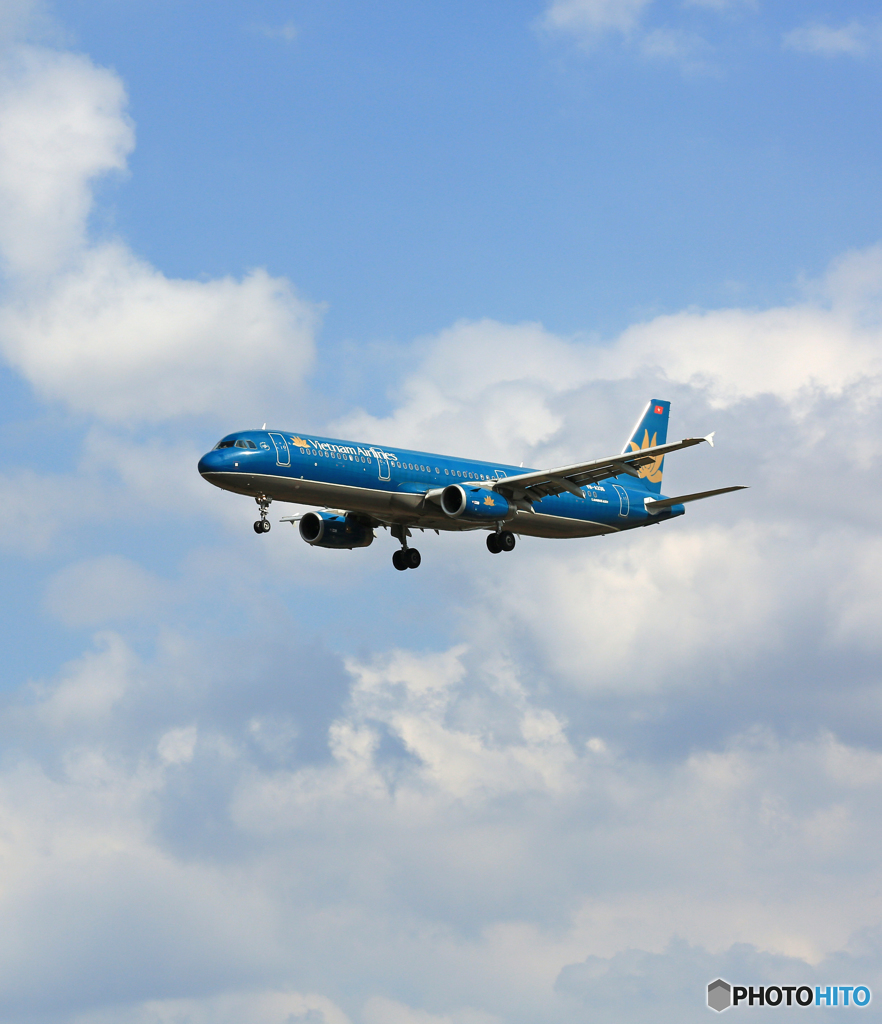 「青い空」が一番 Vietnam A321-231 VN-A336到着