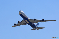 「青空」 NCA 747-8KZF JA11KZ Takeoff  「青空」 NCA 747-8KZF JA11KZ Takeoff