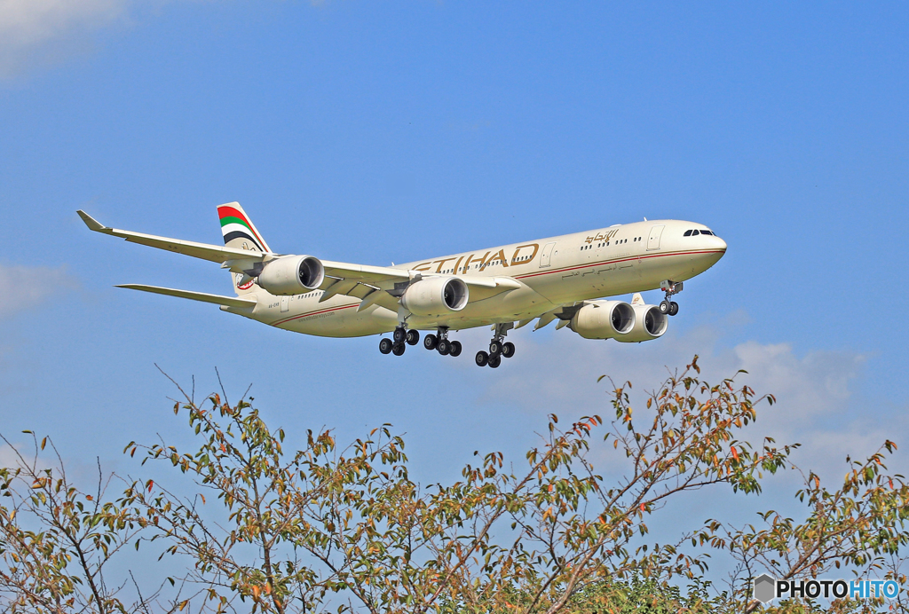 着陸　ETIHAD A340-541 A6-EHB
