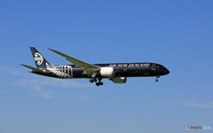 Air New Zealand「All Blacks」B787-9 ZK-NZE