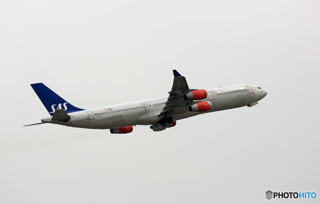 SAS A340-313 OY-KBC 離陸 