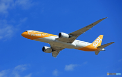 「ぶるー」scoot 787-9 9V-OJA離陸