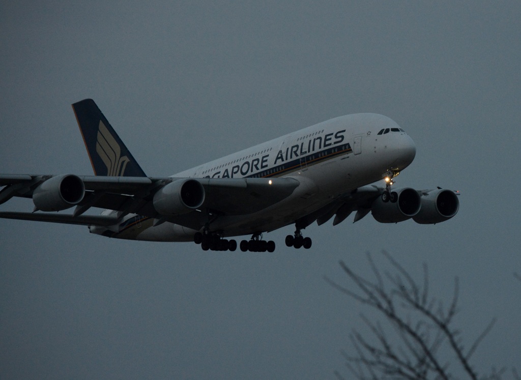 着陸 Singapore A380-841 見える?