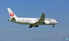 JAL 787-8 JA841J 到着 