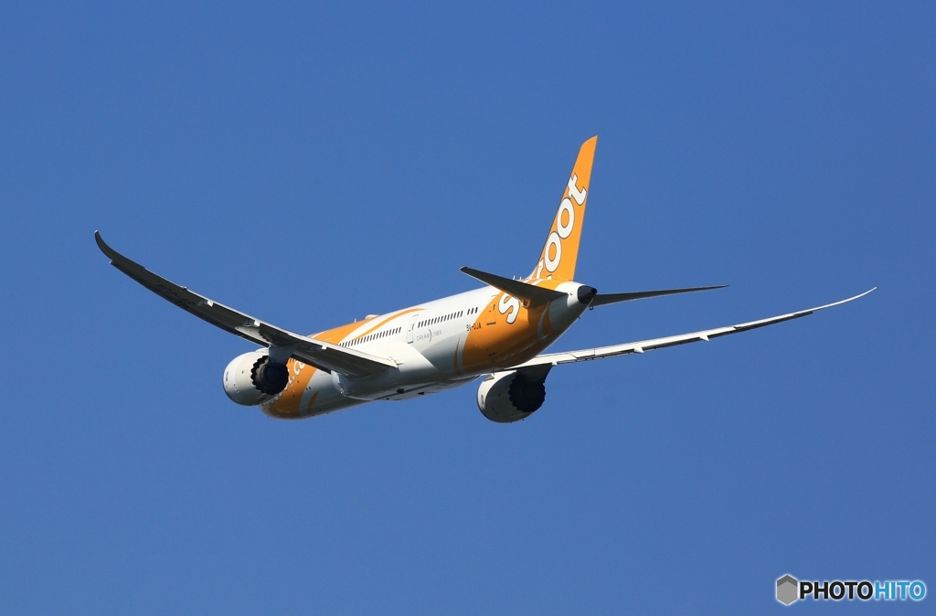 ✈ scoot B787-9 9V-OJA ✈Takeoff