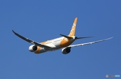 ✈ scoot B787-9 9V-OJA ✈Takeoff