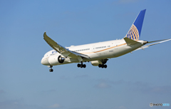 到着 UNITED 787-8 N20904