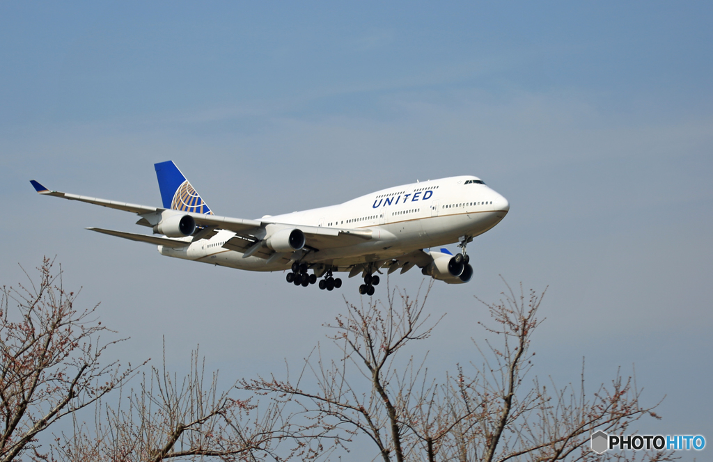 「空色」 UNITED 747-400 N118UA 到着