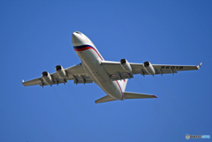☮ロシア機✈　もう、来てますか？