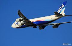 「そらー」NCA 747-8KZF JA17KZジャンボ保存委員会