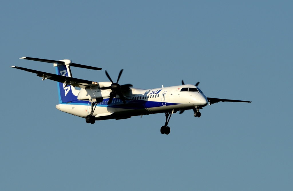 着陸（144）ANA Bombardier　DHC-8-402Q 