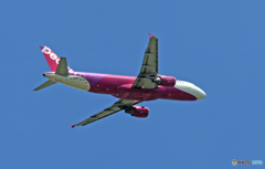 peach A320-214 JA812P 離陸 