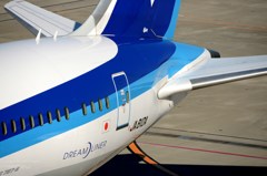 ANA 787-8 JA810A ピッカ ピカ2