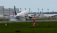 着陸（14-2）全日本空輸Boeing 767-381ER[b]