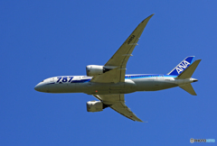 「ぶるー」出発  ANA 787-8JA815A