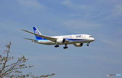 到着 ANA 787-8 JA840A