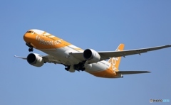 scoot 787-9  離陸　
