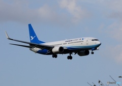 厦門航空（アモイ） Xiamen Airlines 737-800到着