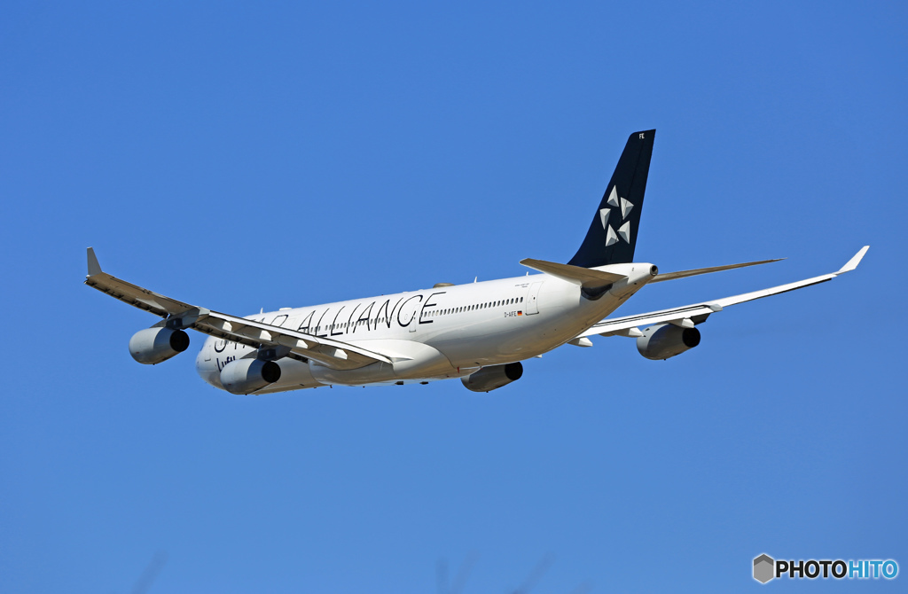 Lufthansa A340-300 D-AIFE 飛び立ち　