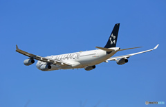 Lufthansa A340-300 D-AIFE 飛び立ち　