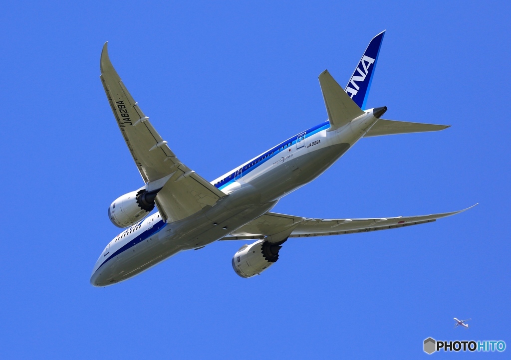 ANA 787-8  出発+オマケ