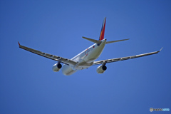 飛行 Philippines A330-343 RP-C8765