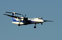 着陸（155）ANA WINGS Bombardier DHC-8-400 