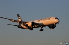 ☮Air New Zealand 787-9 ZK-NZC☮　