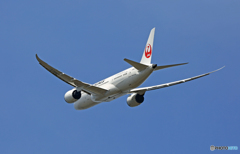 JAL 787-8 JA837J 飛び立ち　