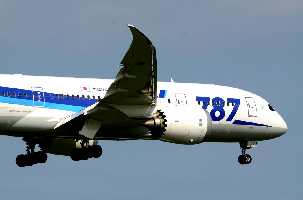 着陸（159）ANA 787-881 