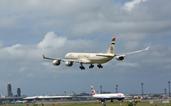 Landing ETIHAD A340-642 A6-EHF