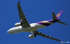 飛び立ち　THAI A330-343