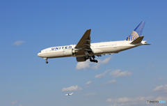 「良い空~」 UNITED 777-224 N77006着陸  「良い空~」 UNITED 777-224 N77006着陸