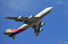 [青い空]ASIANA 747-400 HL7421/ジャンボ保存委員会