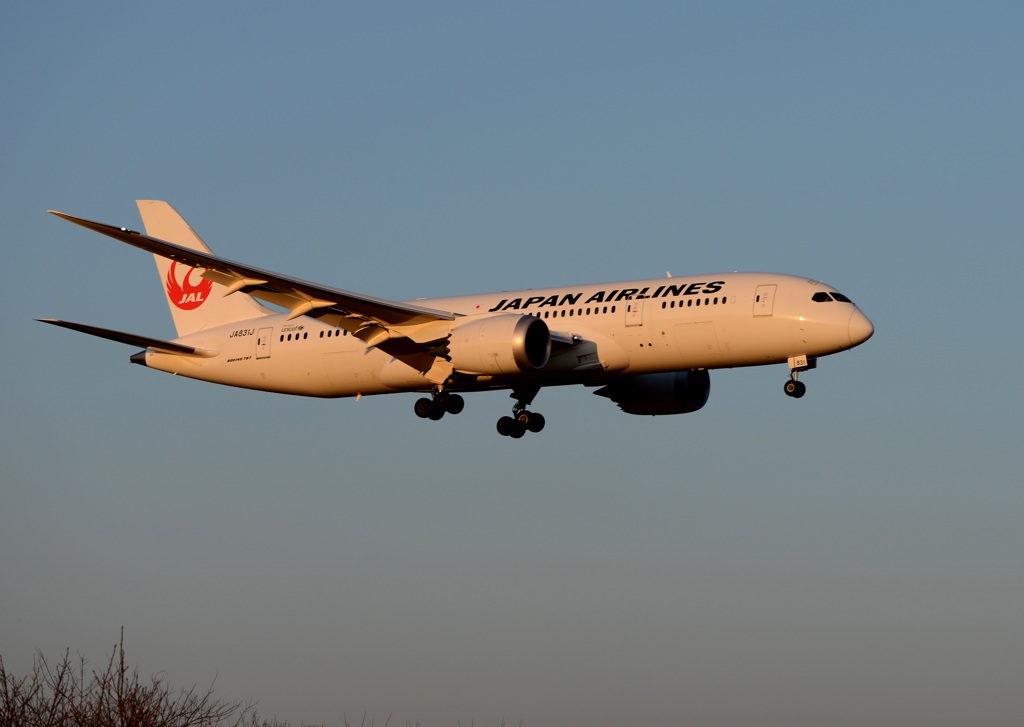 着陸 JAL 787-8