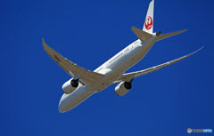 「良い天気」JAL 787-9 JA866J Takeoff  「良い天気」JAL 787-9 JA866J Takeoff