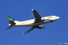 PIA A310-300 飛び立ち