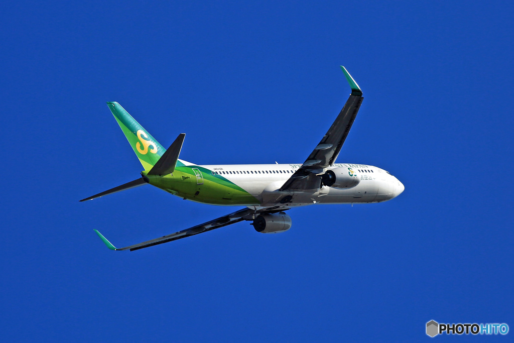 春秋737-800 JA01GR 飛行 