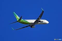 春秋737-800 JA01GR 飛行 