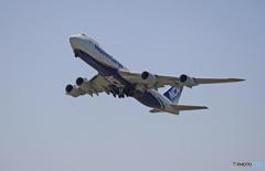 NCA 747- 8KZF JA18KZ 飛行 