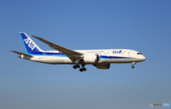 ANA 787-8 JA828A 到着 