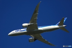ANA 787-8 JA815A 離陸  