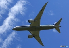 離陸 ANA 787-8 JA834A