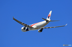 「スカイ」 Malaysia A330-323 9M-MTG 飛行