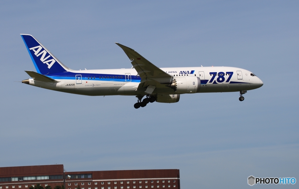 到着　ANA 787-8