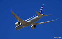 ANA 787-8 JA843A 離陸 