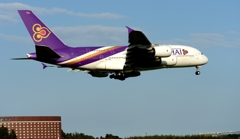 着陸（35-2）Thai  Airbus A380-841 [b]
