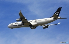 出発 Lufthansa A340-313 D-AIFF