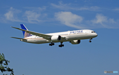 到着 UNITED 787-9 N38950